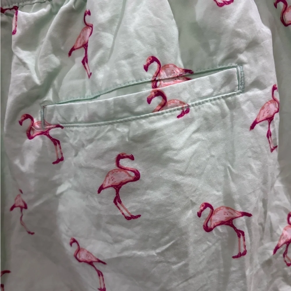 NWOT Massive Men’s Mint Green Elastic Drawstring Shorts Flamingo Design Size XL